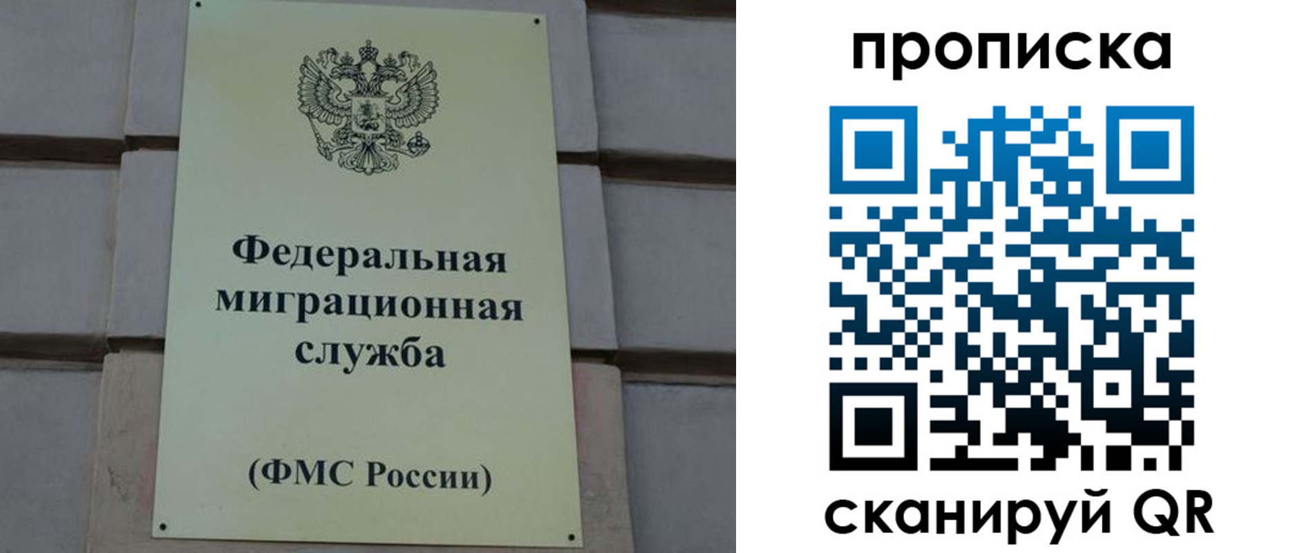 прописка поиск в Александровске-Сахалинском